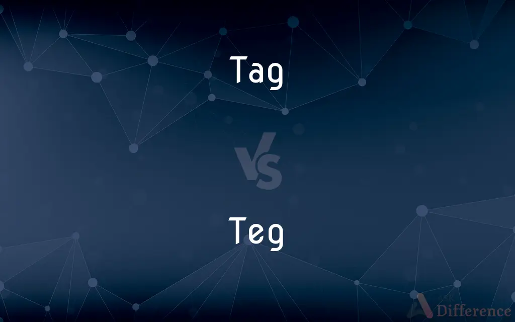 Tag vs. Teg — What's the Difference?