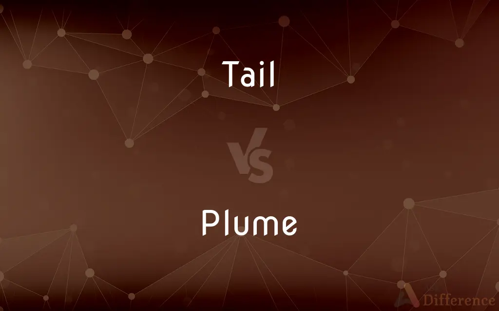 Tail vs. Plume — What's the Difference?