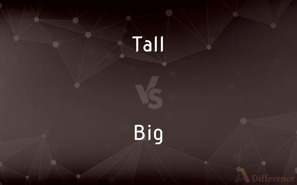 Tall vs. Big