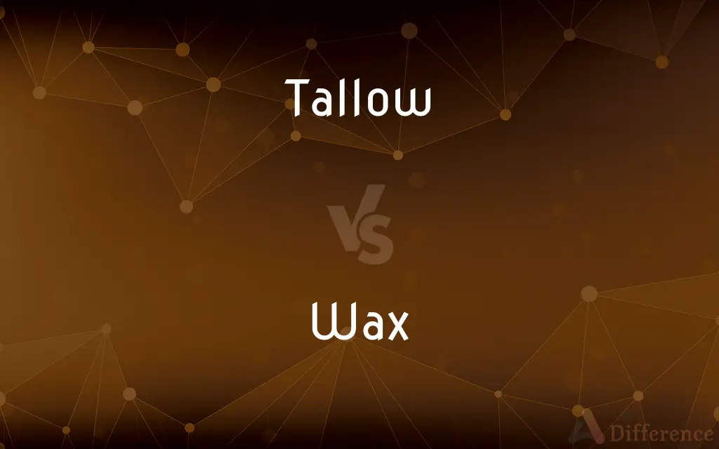 Tallow vs. Wax — What's the Difference?