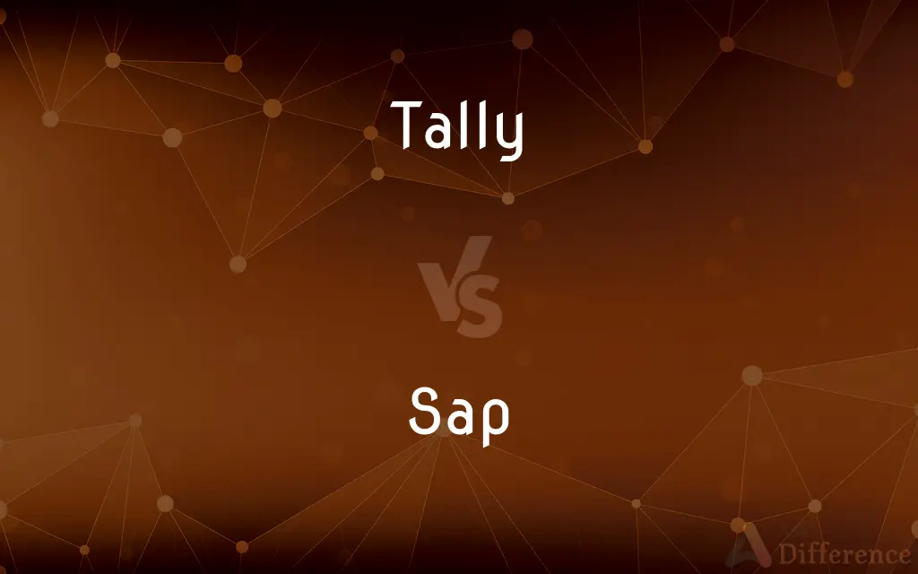 Tally vs. SAP — What's the Difference?