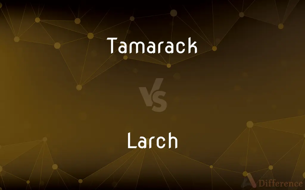 Tamarack vs. Larch — What's the Difference?