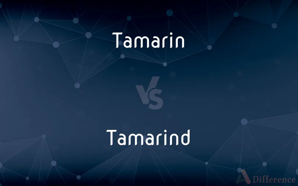 Tamarin vs. Tamarind — What's the Difference?