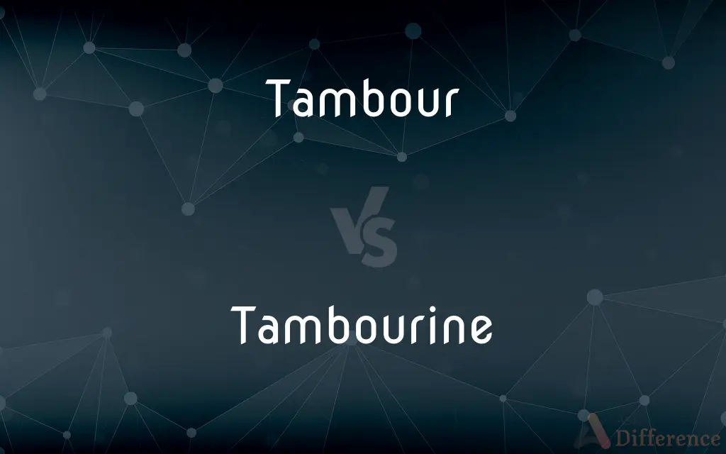 Tambour vs. Tambourine — What's the Difference?