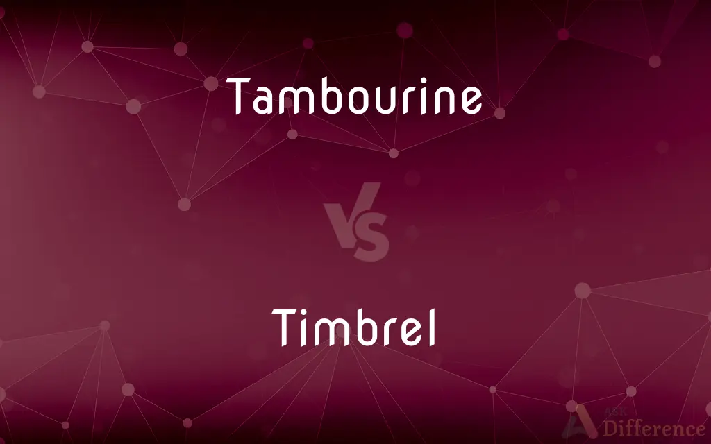 Tambourine vs. Timbrel — What's the Difference?