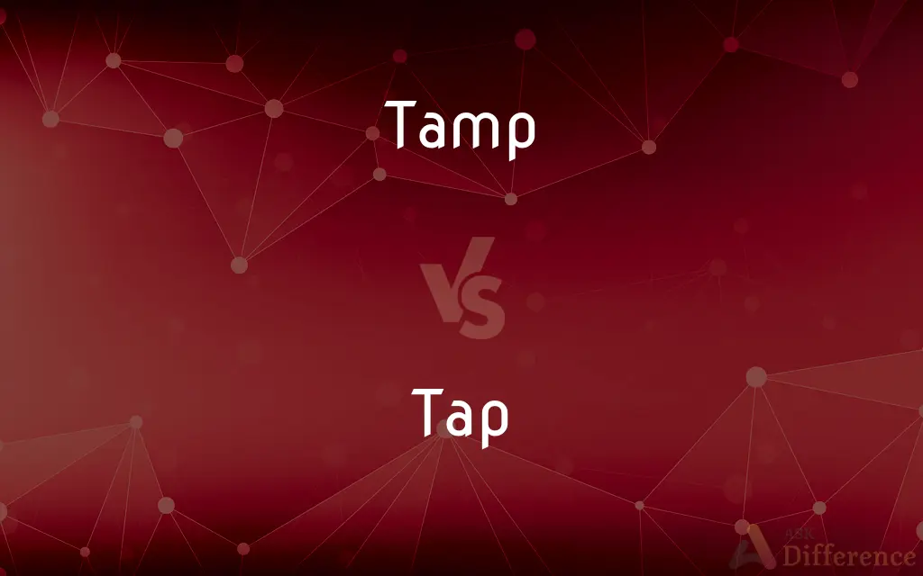 Tamp vs. Tap — What's the Difference?