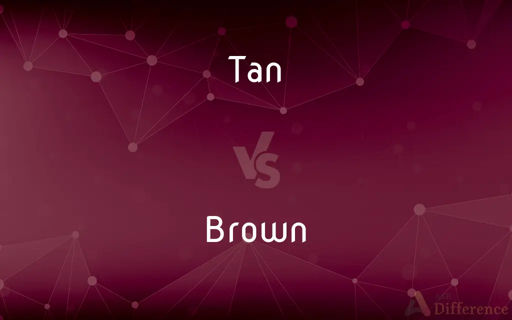Tan vs. Brown — What's the Difference?