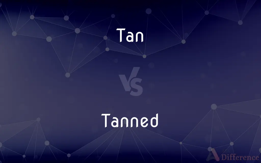 Tan vs. Tanned — What's the Difference?