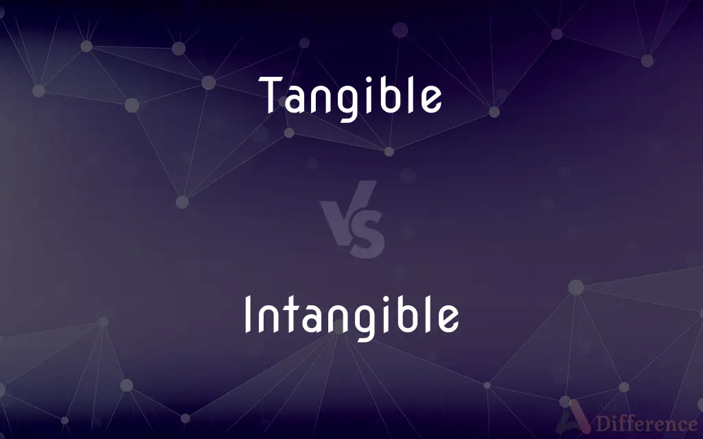 Tangible vs. Intangible — What's the Difference?