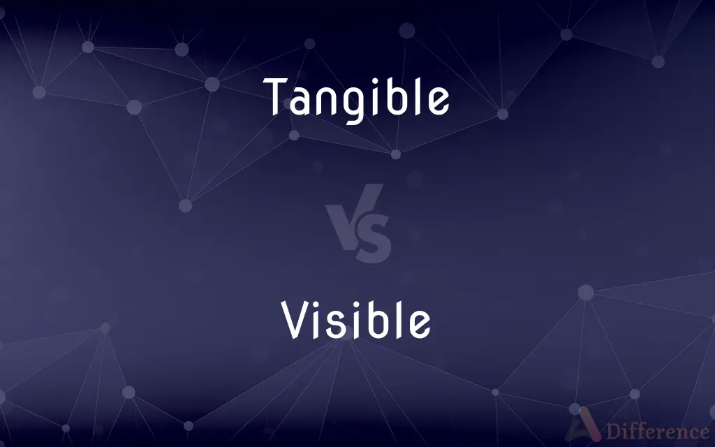 Tangible vs. Visible — What's the Difference?