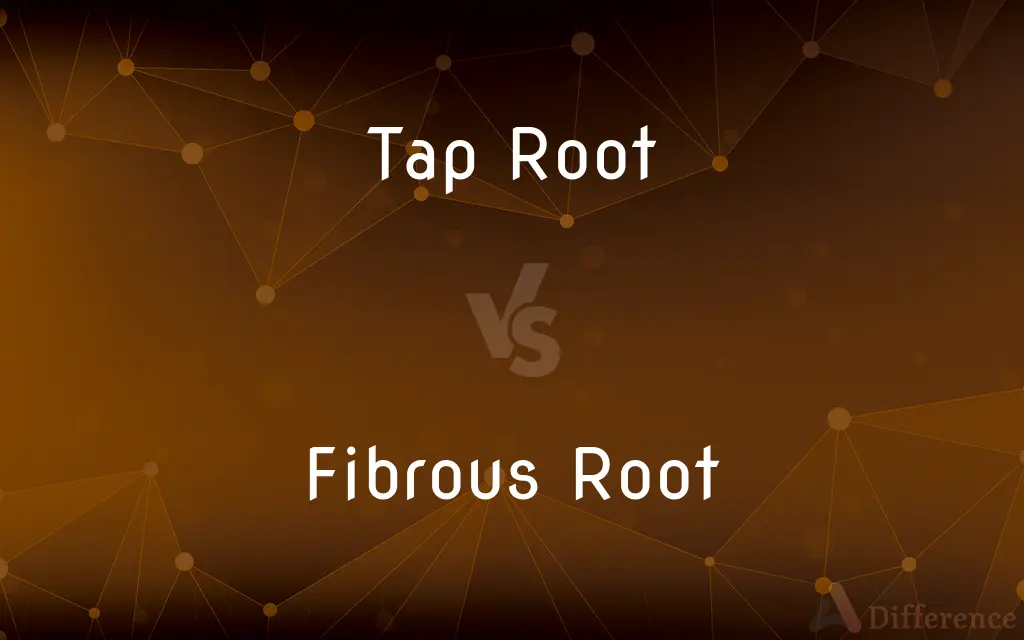 Tap Root vs. Fibrous Root — What's the Difference?