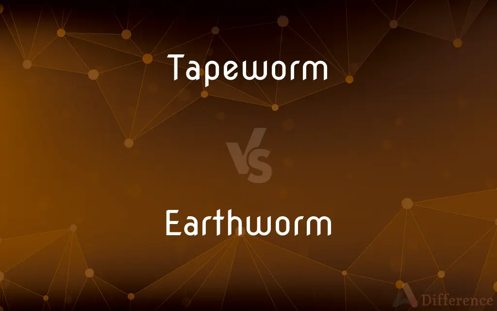 Tapeworm vs. Earthworm — What's the Difference?
