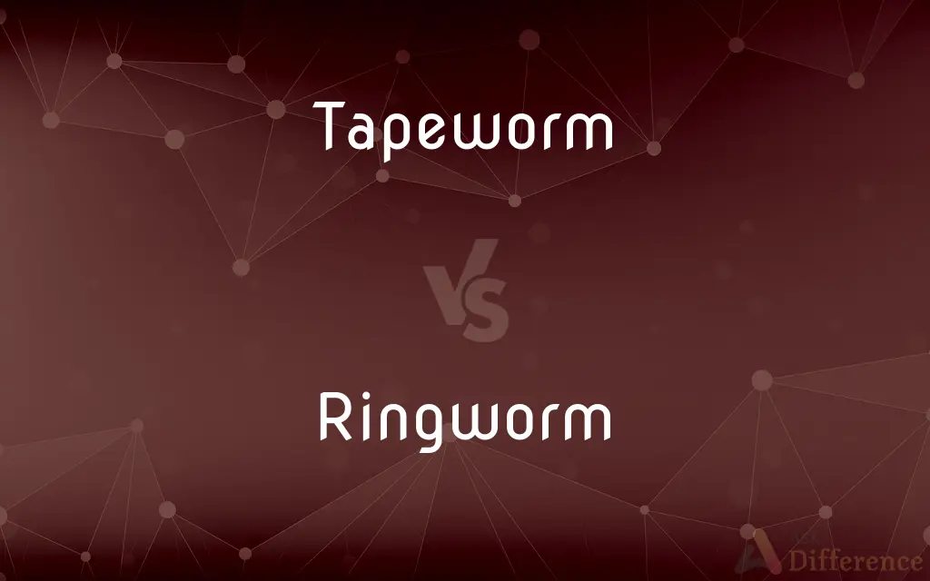 Tapeworm vs. Ringworm — What's the Difference?