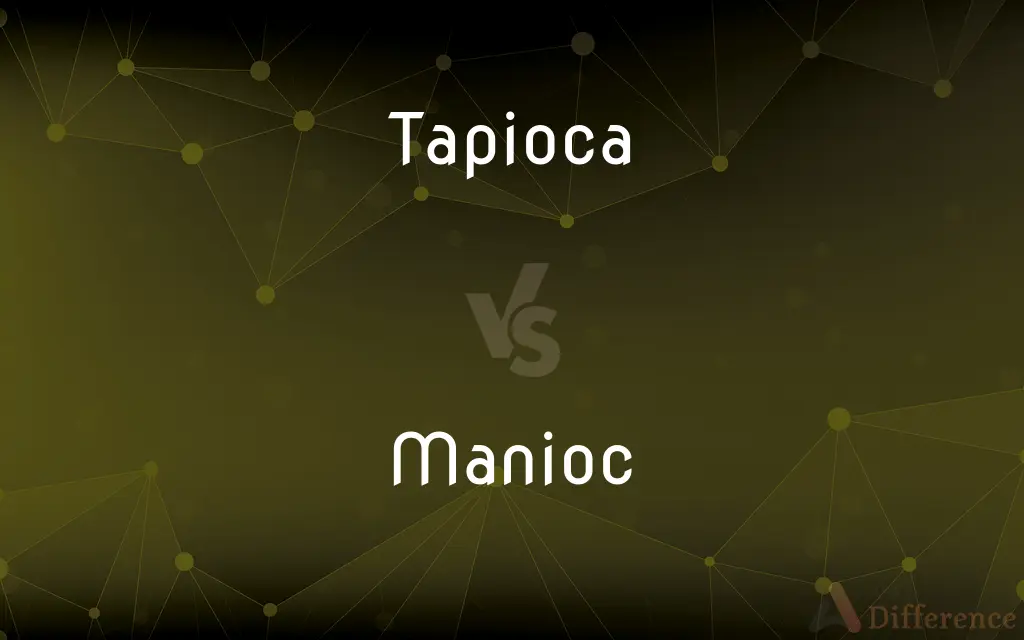 Tapioca vs. Manioc — What's the Difference?