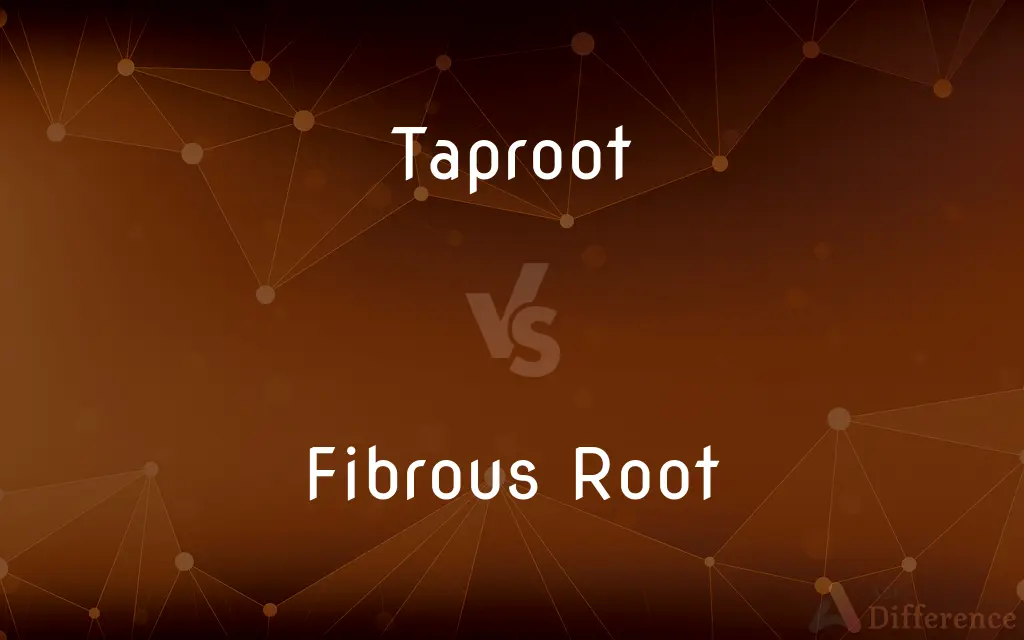 Taproot vs. Fibrous Root — What's the Difference?