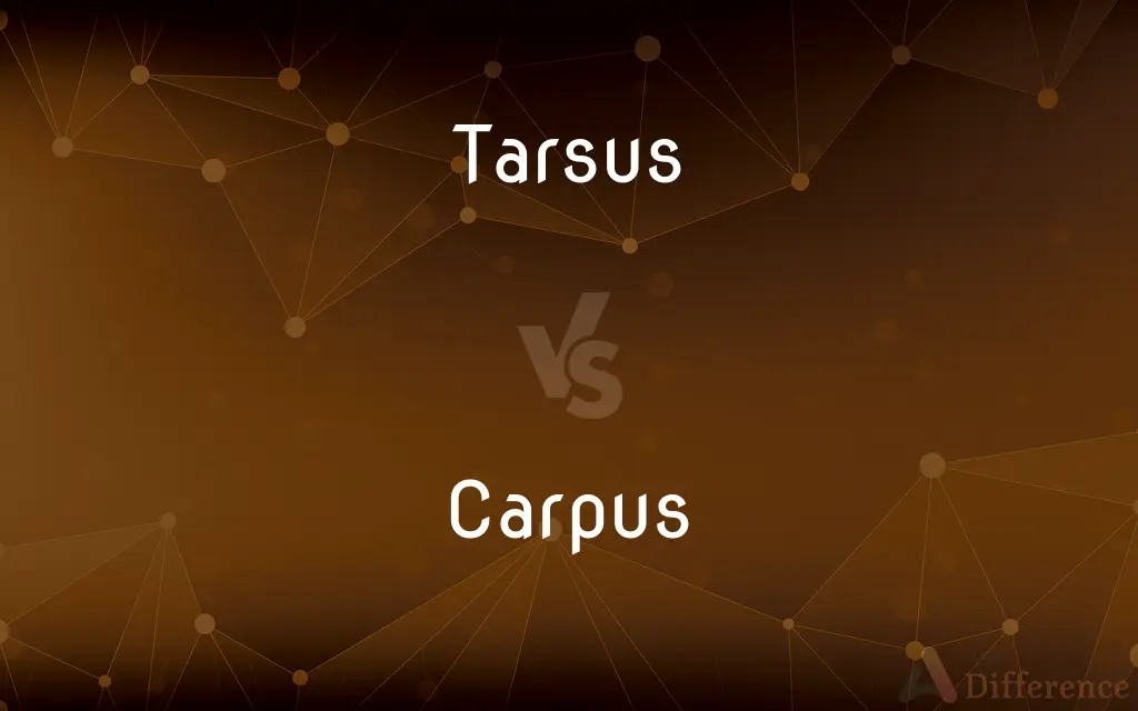 Tarsus vs. Carpus — What's the Difference?