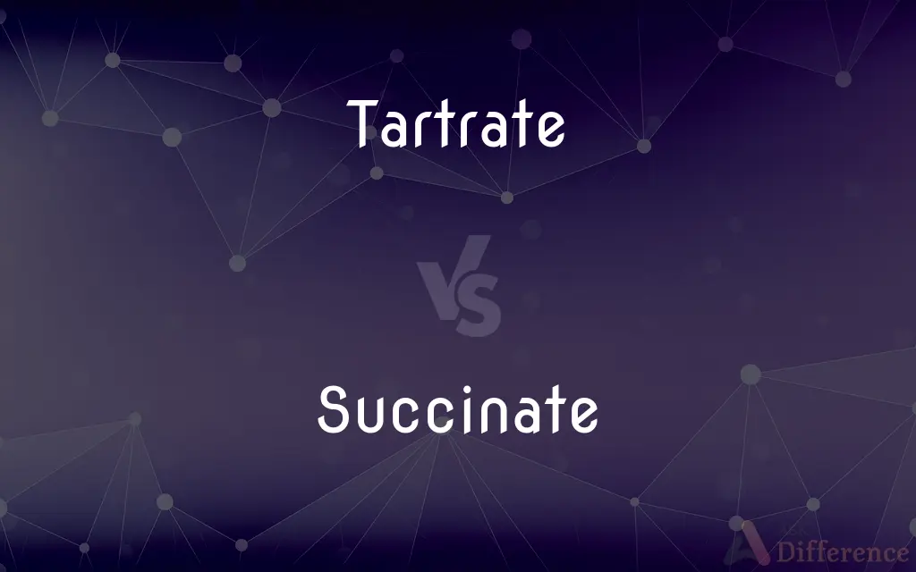 Tartrate vs. Succinate — What's the Difference?