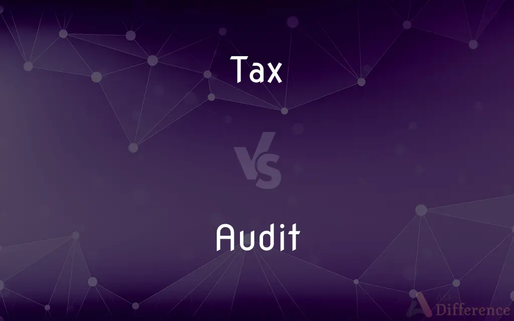 Tax vs. Audit — What's the Difference?