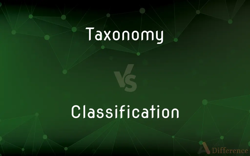 Taxonomy vs. Classification — What's the Difference?