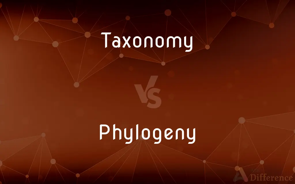 Taxonomy vs. Phylogeny — What's the Difference?