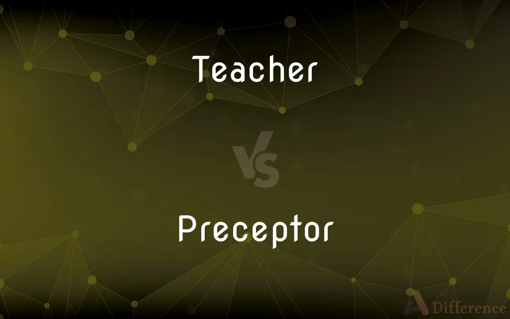 Teacher vs. Preceptor — What's the Difference?