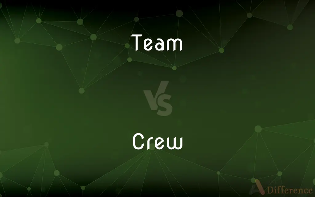 Team vs. Crew — What's the Difference?