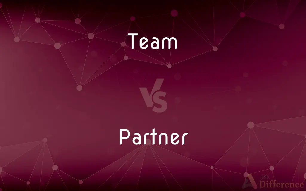 Team vs. Partner — What's the Difference?