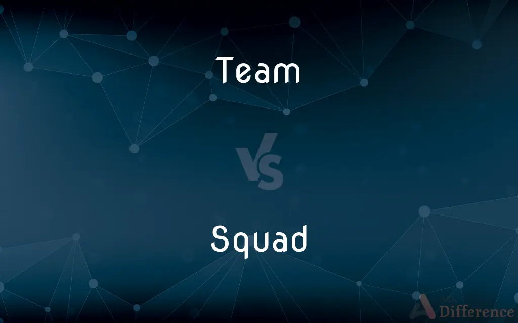 Team vs. Squad — What's the Difference?