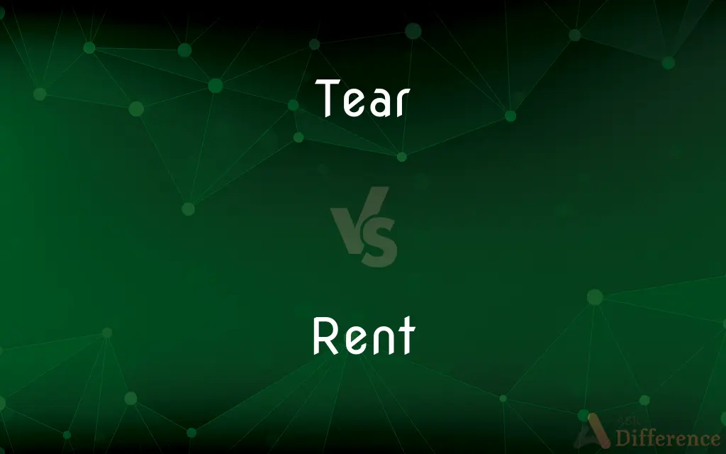 Tear vs. Rent — What's the Difference?