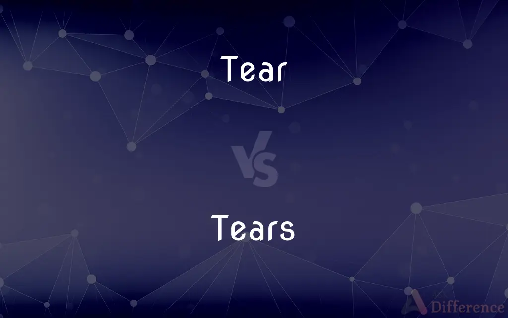 Tear vs. Tears — What's the Difference?