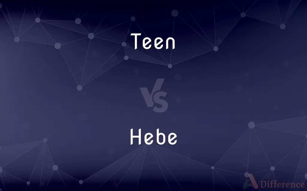 Teen vs. Hebe — What's the Difference?