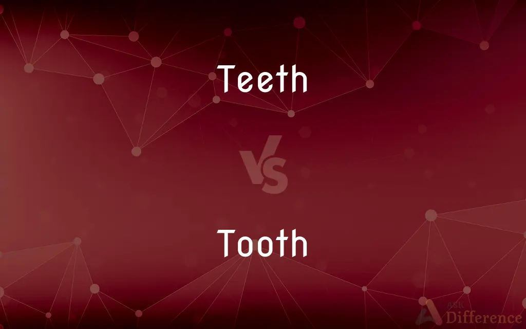 Teeth vs. Tooth — What's the Difference?