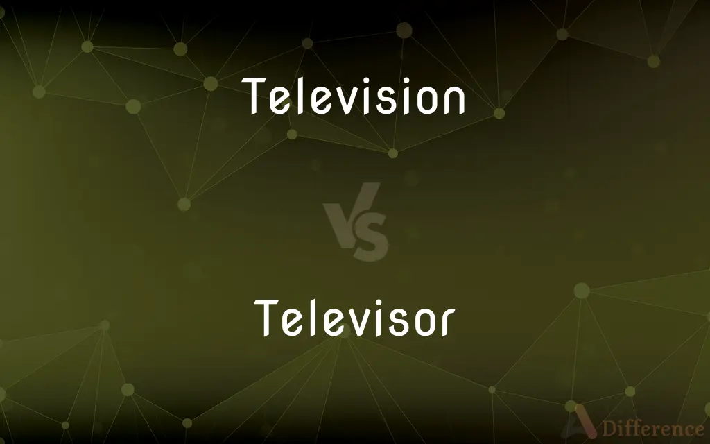 Television Vs Televisor: What's The Difference?
