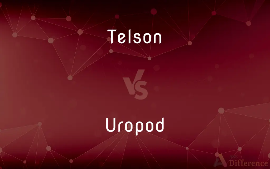 Telson vs. Uropod — What's the Difference?