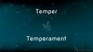 Rime vs. Rhyme — What’s the Difference?