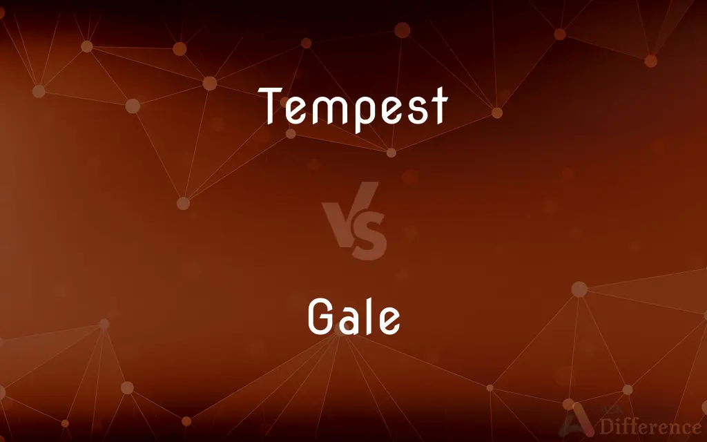 Tempest vs. Gale — What's the Difference?