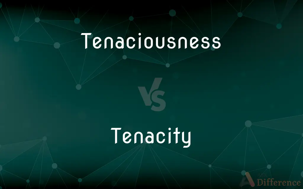 Tenaciousness vs. Tenacity — What's the Difference?