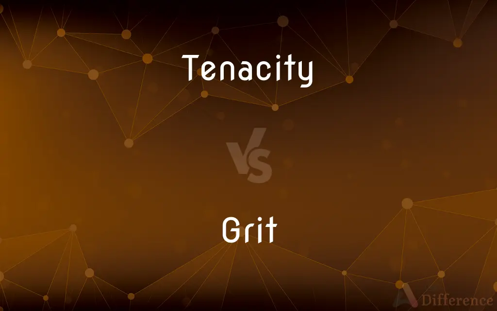 Tenacity vs. Grit — What's the Difference?