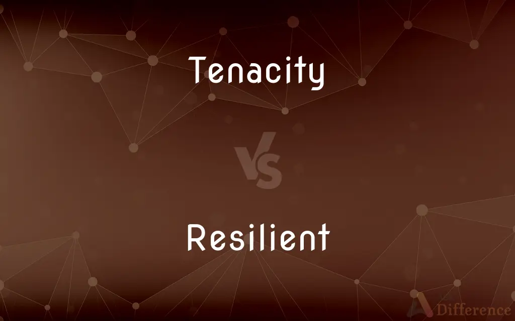 Tenacity vs. Resilient — What's the Difference?