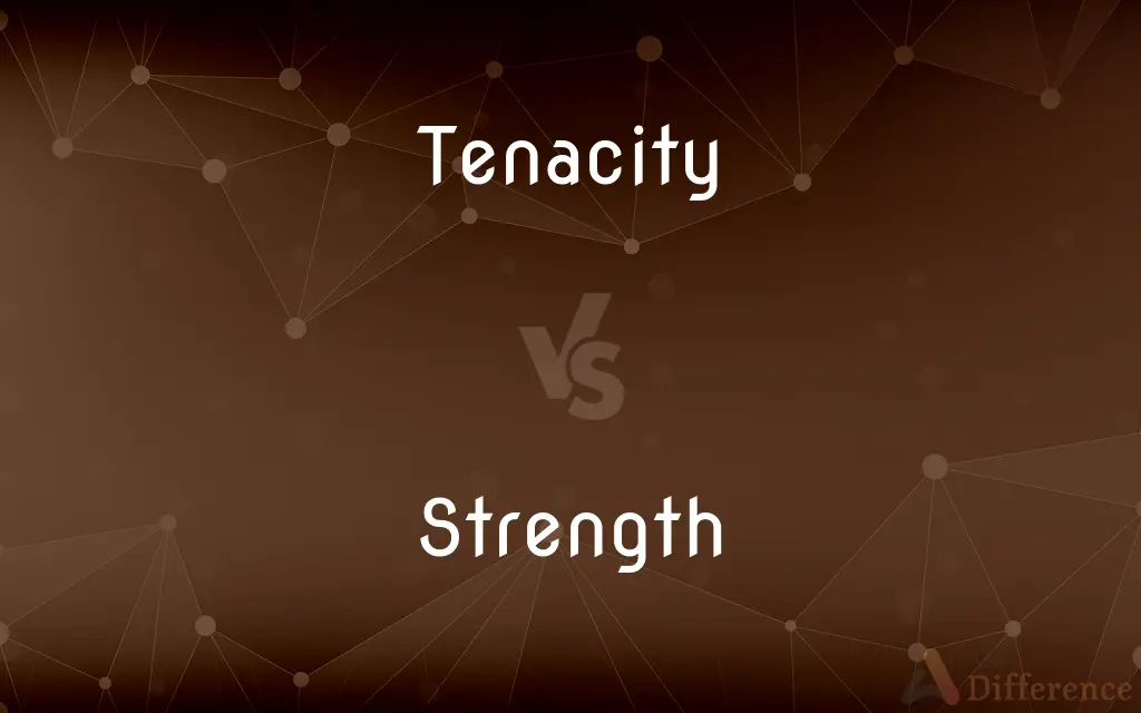 Tenacity vs. Strength — What's the Difference?