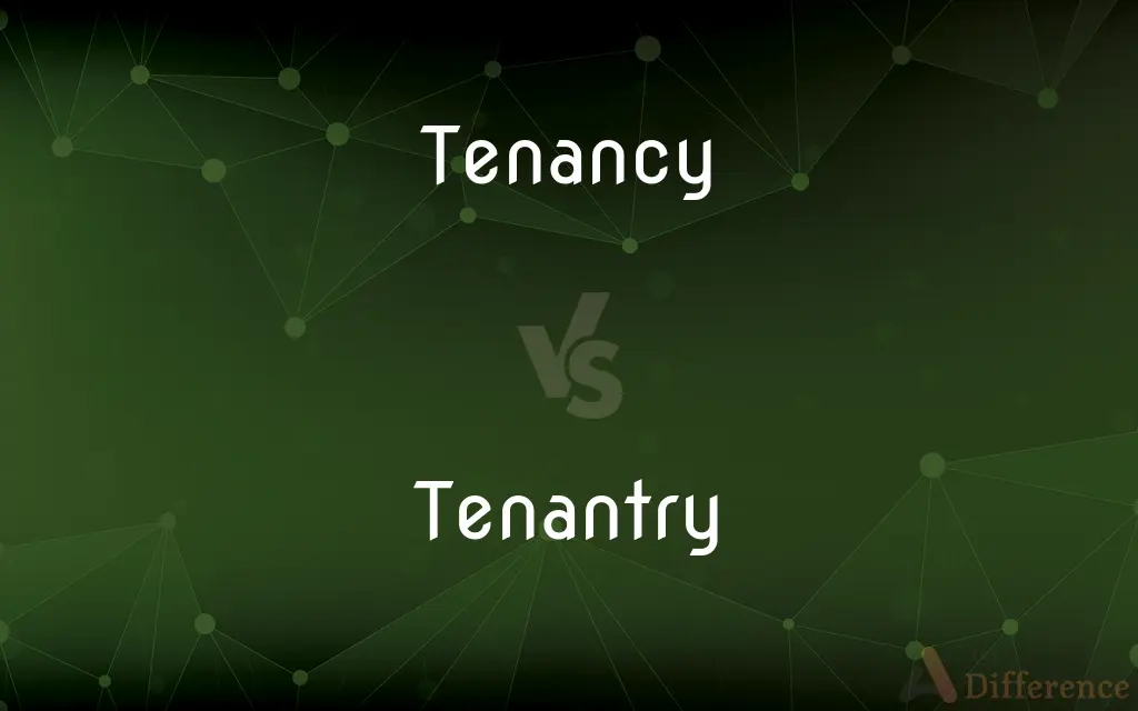 Tenancy vs. Tenantry — What's the Difference?