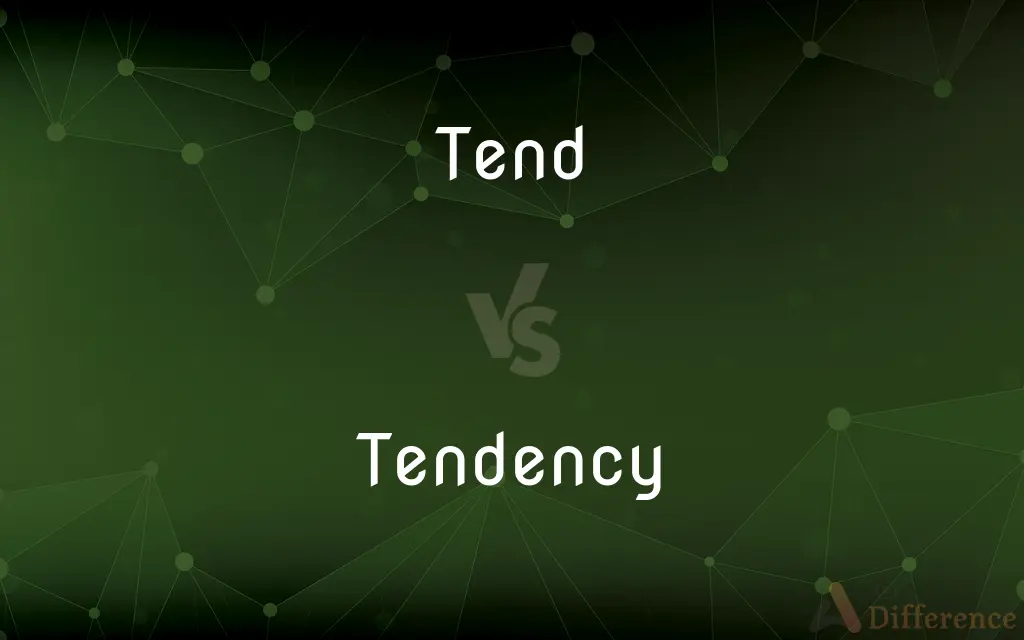 Tend vs. Tendency — What's the Difference?