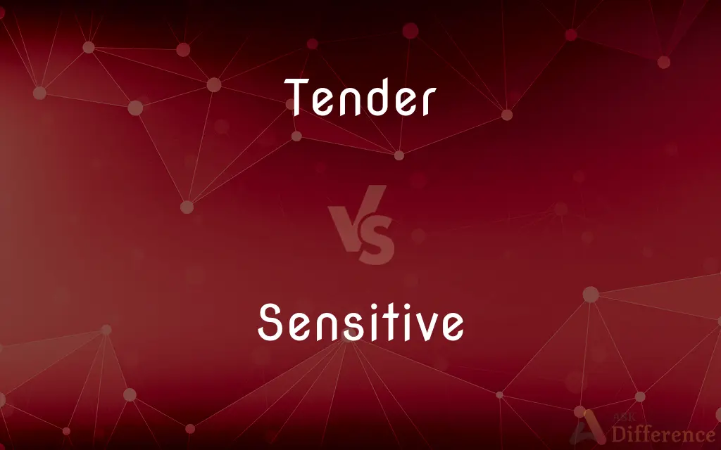 Tender vs. Sensitive — What's the Difference?