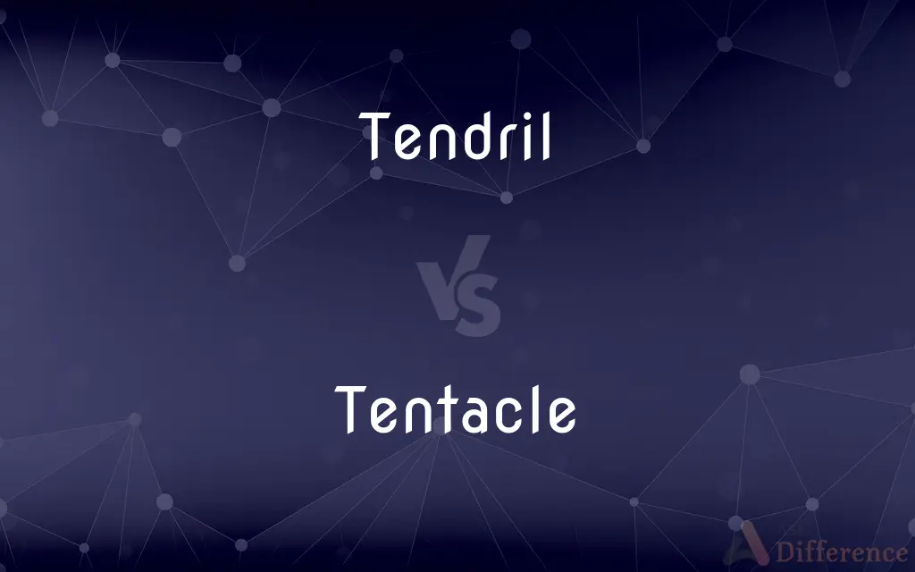 Tendril vs. Tentacle — What's the Difference?