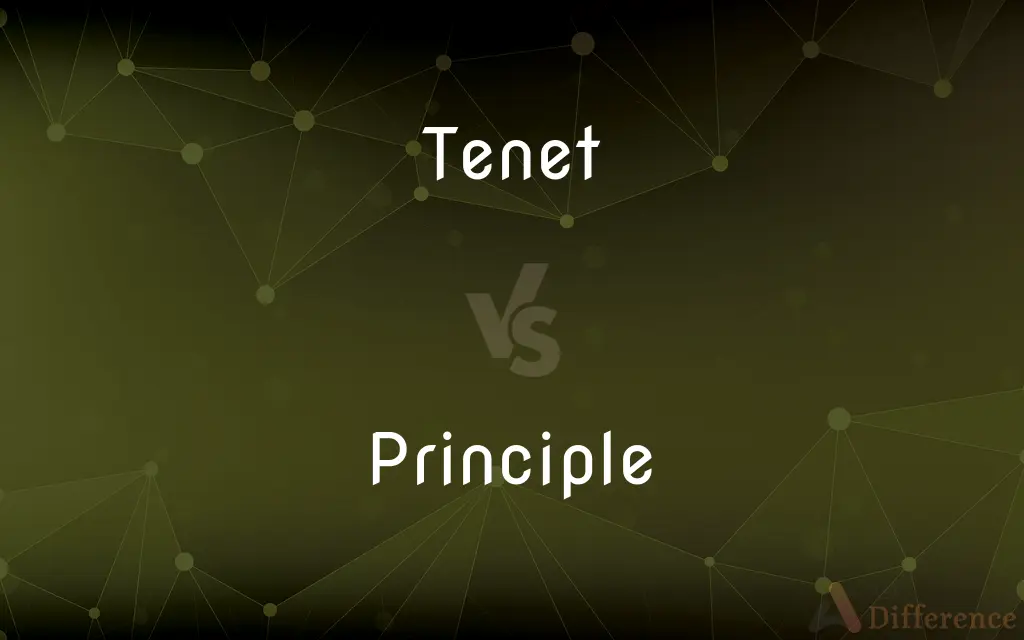 Tenet vs. Principle — What's the Difference?