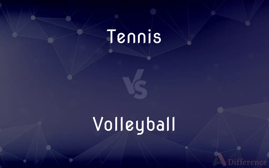 Tennis vs. Volleyball — What's the Difference?