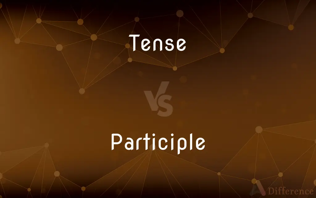 Tense vs. Participle — What's the Difference?