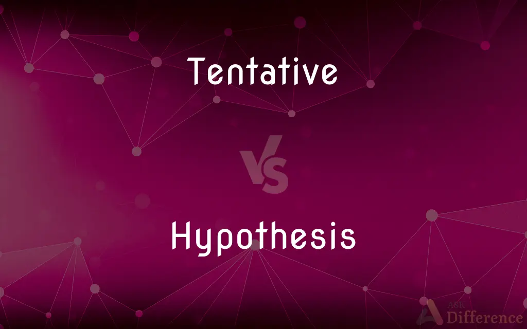 Tentative vs. Hypothesis — What's the Difference?