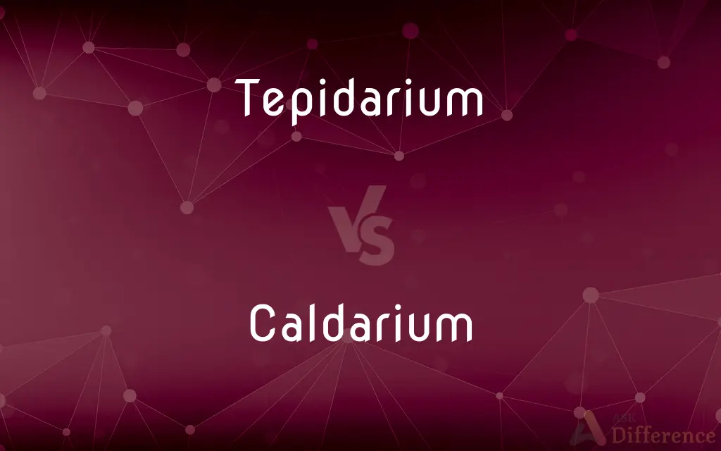 Tepidarium vs. Caldarium — What's the Difference?