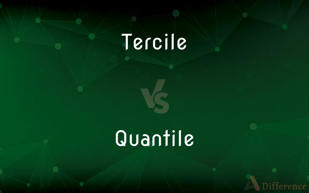 Tercile vs. Quantile — What's the Difference?